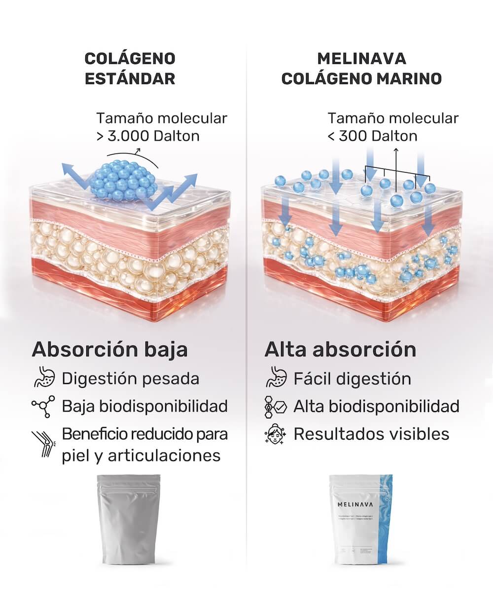 Comparación del colágeno estándar y el colágeno marino de Melinava en la piel