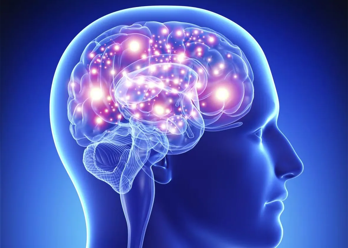 Ilustración de un cerebro humano con conexiones neuronales iluminadas