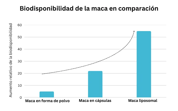 Gráfico: biodisponibilidad de la maca en polvo, en cápsulas y en forma liposomal comparadas