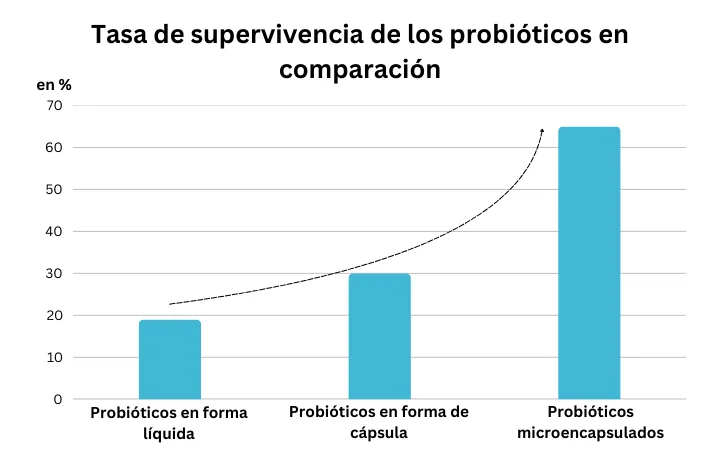 Gráfico: tasa de supervivencia de los probióticos en forma líquida, en cápsula y microencapsulados