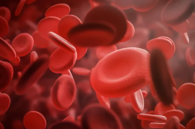 Glóbulos rojos circulando por el interior de un vaso sanguíneo