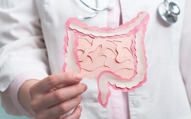 Médica sostiene un recorte de papel con la forma del intestino