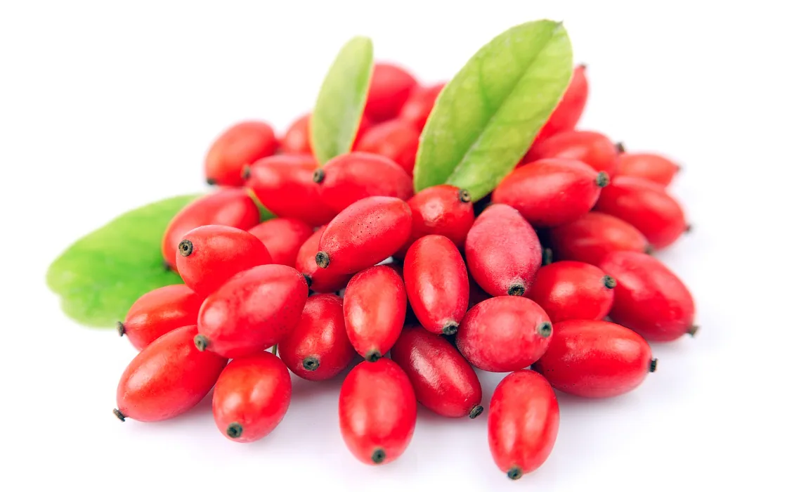 Bayas rojas maduras de agracejo con hojas verdes