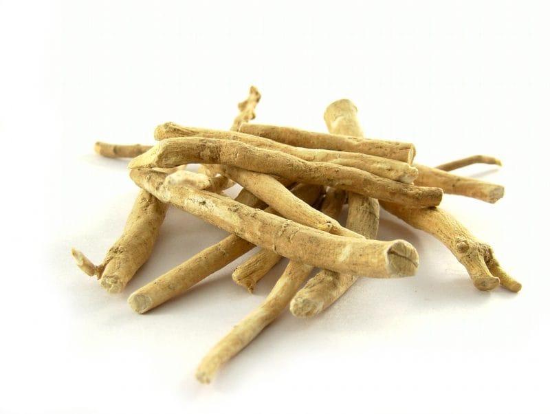 Raíces secas de ashwagandha sobre fondo blanco